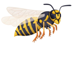 SAVE THE WASPS