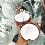 * aloha *