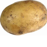 Potato's Sussy group!