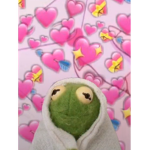 Kermit's Aesthetic