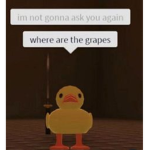 dahoodian duck.