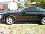 my moms mustang luverz