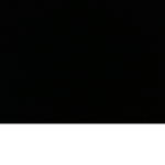 ᴘᴀsᴛᴇʟ ʙᴜɴɴɪᴇs