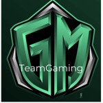 TeamGaming’s Official Server