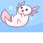 The cutest axolotl's
