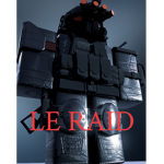 ——RAID———