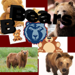 Brambleton Bears