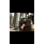 nutz<3