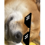 빵신 팬클럽