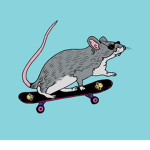 Ramp Rats