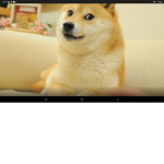 The doge army the best army