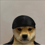 Hxbibi