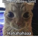 Its yo ()itch
