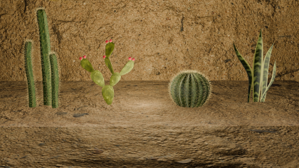 CactusPack preview 5