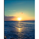 Sunshinesquad11