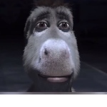 Zonkey