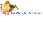 pet lovers ^_^