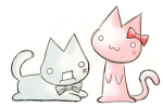 The Mosh Crew