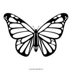 butterflies squad xoxo