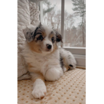 HAI...,<3