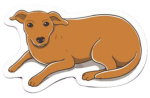 Cachorrin Caramelo