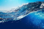 Diving community