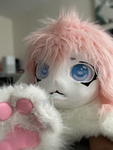 •~silent silver• its scoofie wcue•~