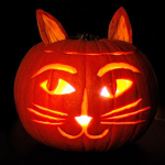 Jack-O-Cat