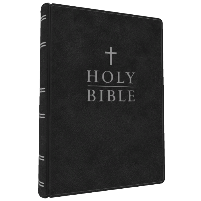 Waist Bible