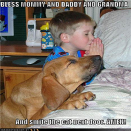 funny dog Roblox decal