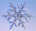 snowii's snowflakes