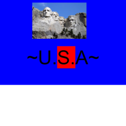 U.S.A