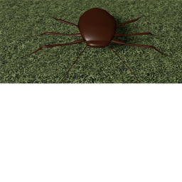 The killer cockroaches story
