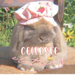 celle$te