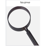 Ultimate spying group