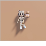 rbixibrownn