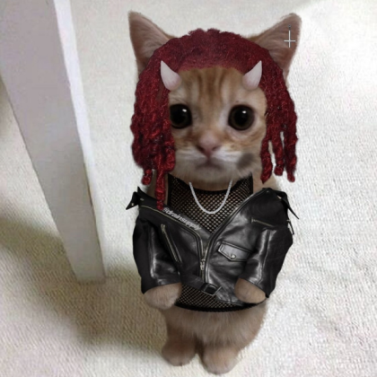 carti cat Roblox decal