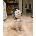 MI GRUPO UwU 'D