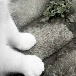 ♡