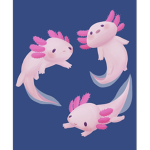 .-.axolotl.-.