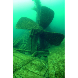 SS Frank wreck expedition