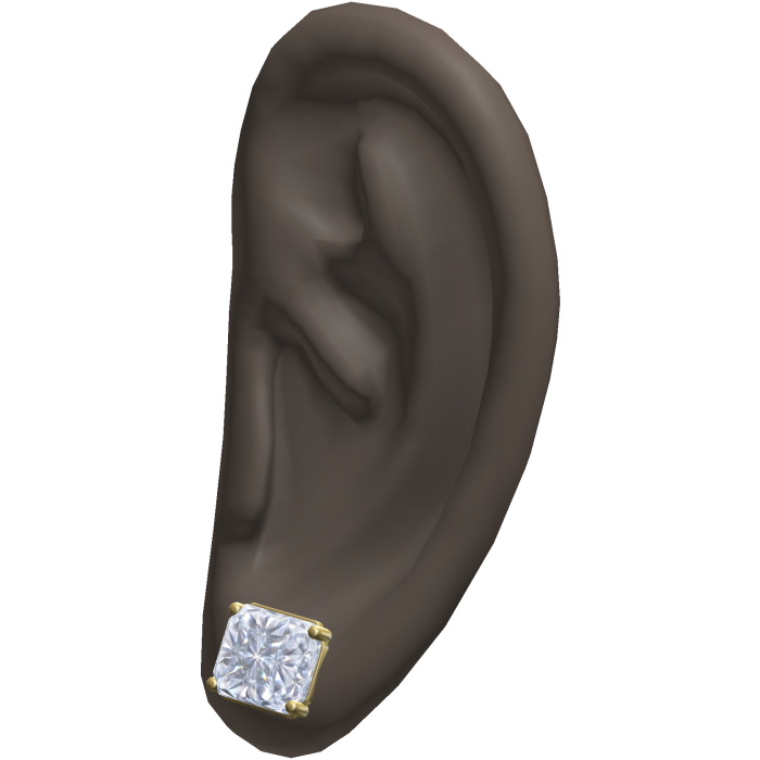 Diamond Stud Earrings Ears