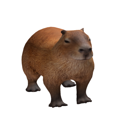 📦   Capybara Pet Friend Cute Animal Chill Water