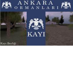 Ankara Ormanları