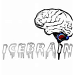 Icebrain clan/scrim team