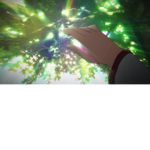 The SAO Anarchy