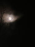 Lone Eclipse