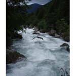 ~Torrent’Clan~