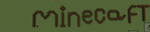 Epic Minecaraft Gamers