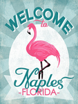 City of Naples Roleplay